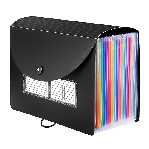 Minimalist Sooez 24 Pockets Expanding File Folder with